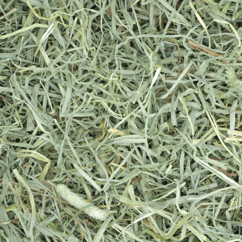 Oxbow Animal Health Prime Cut Soft & Lush Timothy Hay
