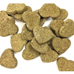 Oxbow Bene Terra Organic Barley Biscuits Treats for Small Animals
