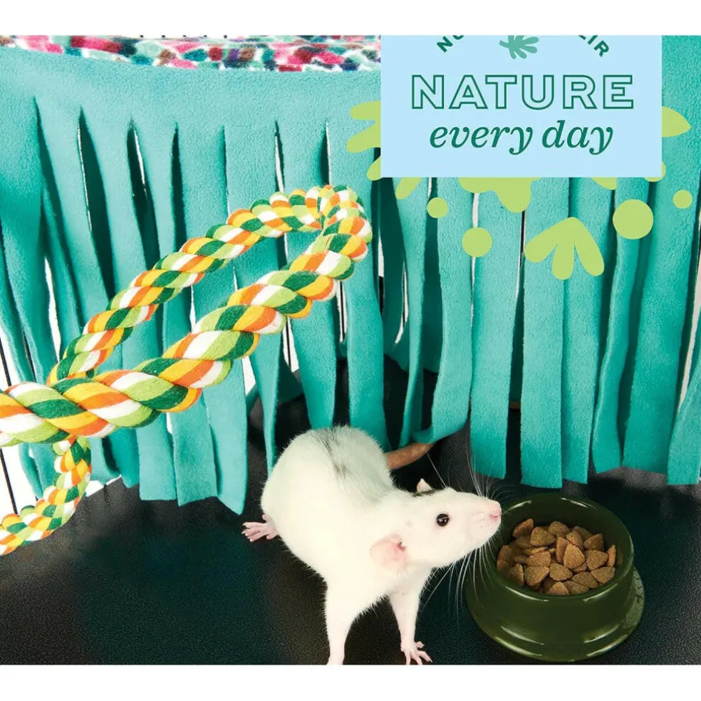 Oxbow Enriched Life Accessory Pack For Rats