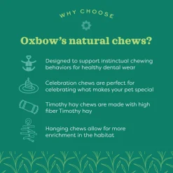 Oxbow Enriched Life Celebration Party Pack Small Animal Chews (5 pack)