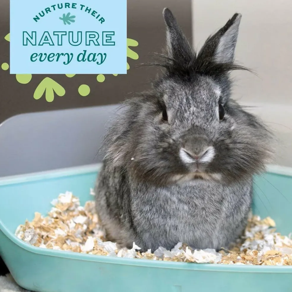 Oxbow Enriched Life Corner Litter Pan with Removable Shield For Small Animals