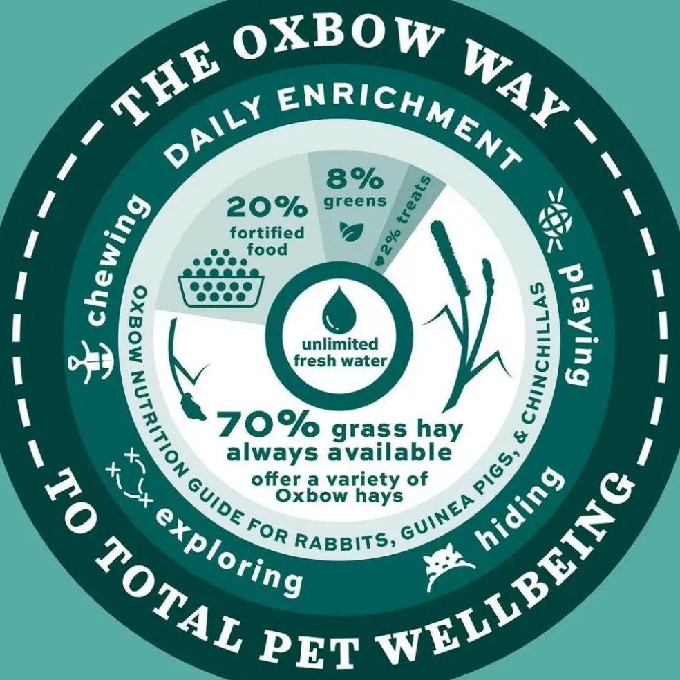 Oxbow Enriched Life Corner Litter Pan with Removable Shield For Small Animals