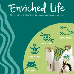 Oxbow Enriched Life Hide 'n Wobble Toy For Small Animals
