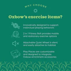 Oxbow Enriched Life 2 in 1 Fitness Ball Toy For Small Animal