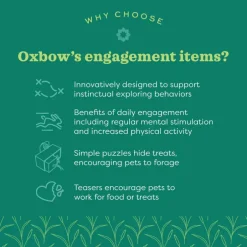 Oxbow Enriched Life Lettuce Forage Mat Toy For Small Pets