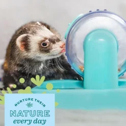 Oxbow Enriched Life Rolly Teaser Toy For Small Animals