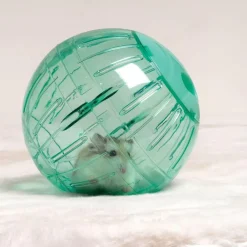 Oxbow Enriched Life Run Around Ball Toy For Small Animals