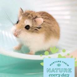Oxbow Enriched Life Run Around Ball Toy For Small Animals
