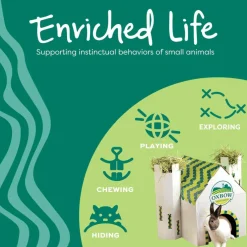 Oxbow Enriched Life Run Around Ball Toy For Small Animals