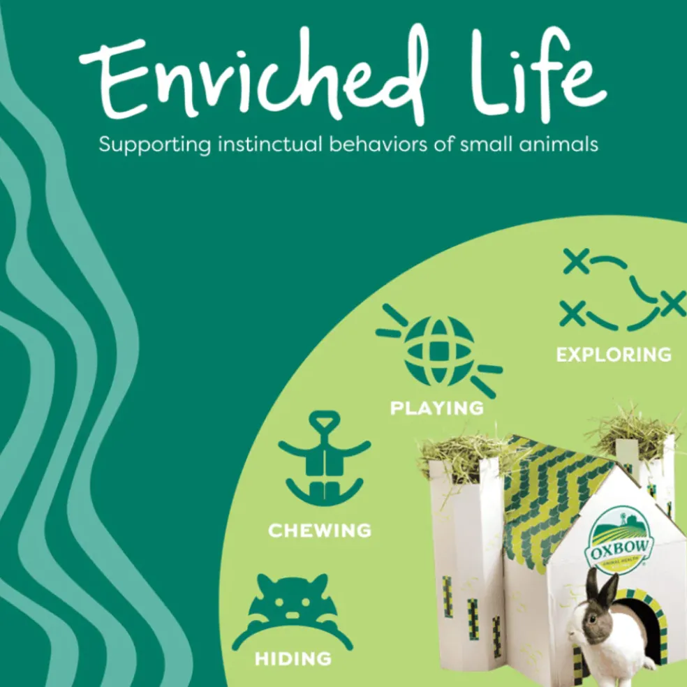 Oxbow Enriched Life Small Animal Play Wall