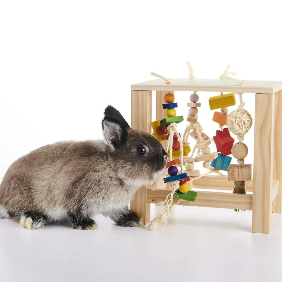 Oxbow Enriched Life Small Animal Play Table