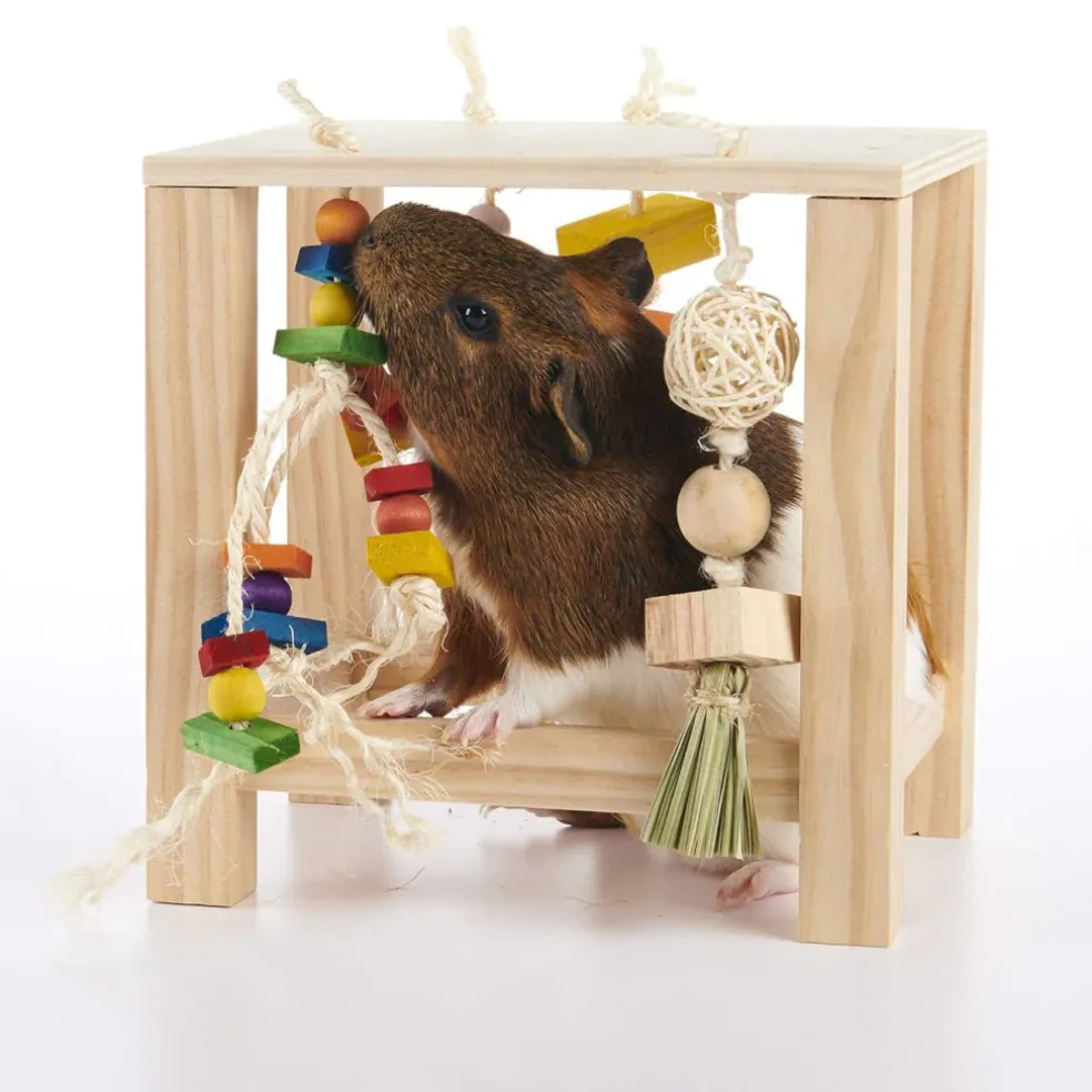 Oxbow Enriched Life Small Animal Play Table