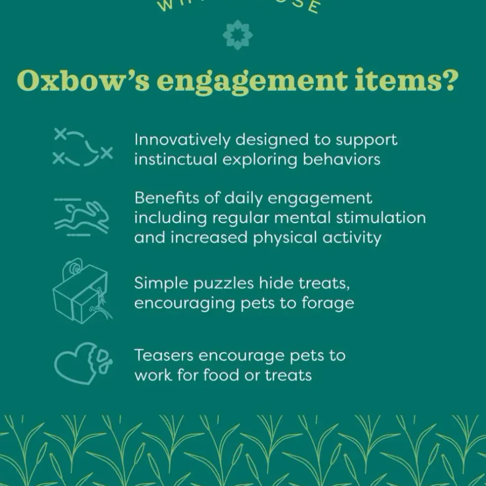 Oxbow Enriched Life Small Animal Play Table