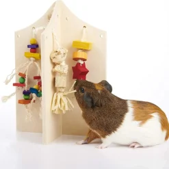 Oxbow Enriched Life Small Animal Play Center