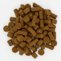 Oxbow Real Prey Rewards Turkey Crunchy & Chewy Ferret Treats (3 oz)