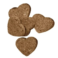 Oxbow Simple Rewards Baked Small Animal Treats with Apple & Banana (3 oz)