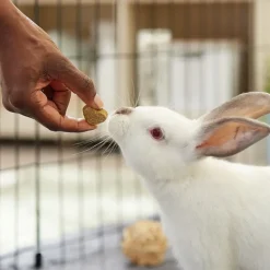 Oxbow Simple Rewards Baked Small Animal Treats with Apple & Banana (3 oz)