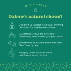 Oxbow Timothy Club Timothy Hay Small Animal Mat