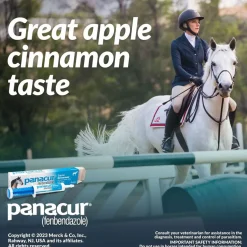 Panacur Equine Paste 10% Horse Dewormer, 25g