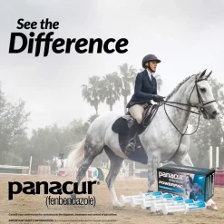 Panacur Powerpac Equine Paste 10% Horse Dewormer, 57g, 5-count