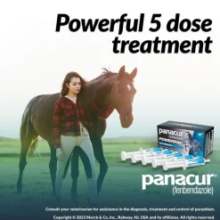 Panacur Powerpac Equine Paste 10% Horse Dewormer, 57g, 5-count