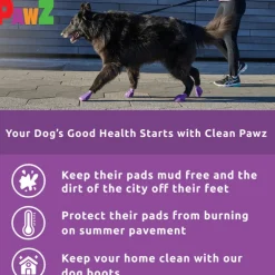 Pawz Boots For Dogs, Large