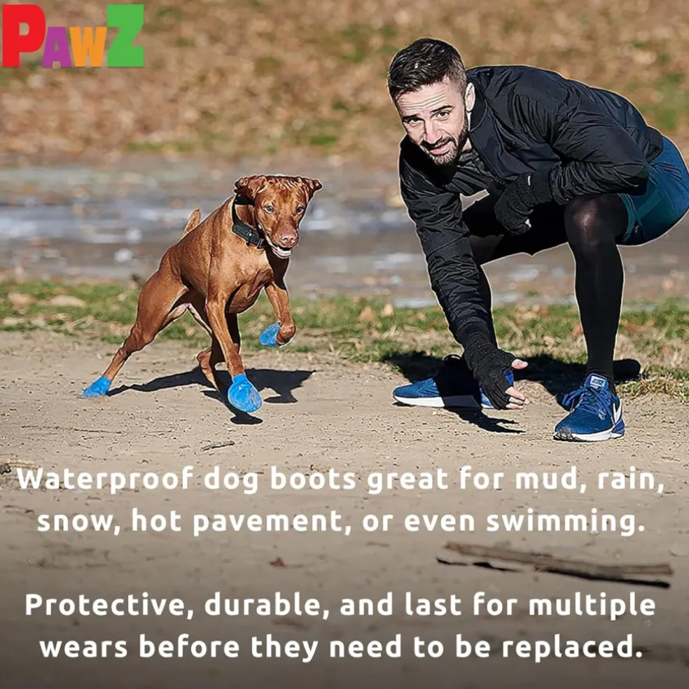 Pawz Boots For Dogs, Medium