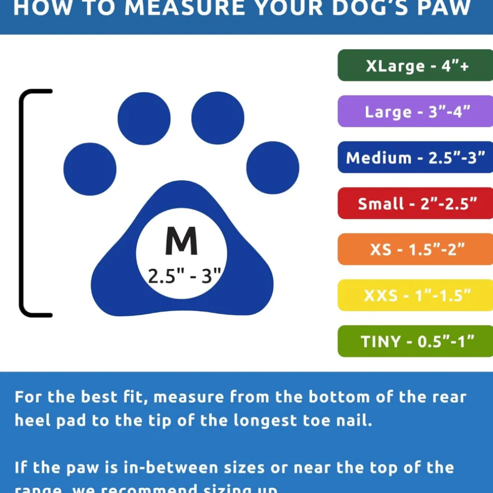 Pawz Boots For Dogs, Medium
