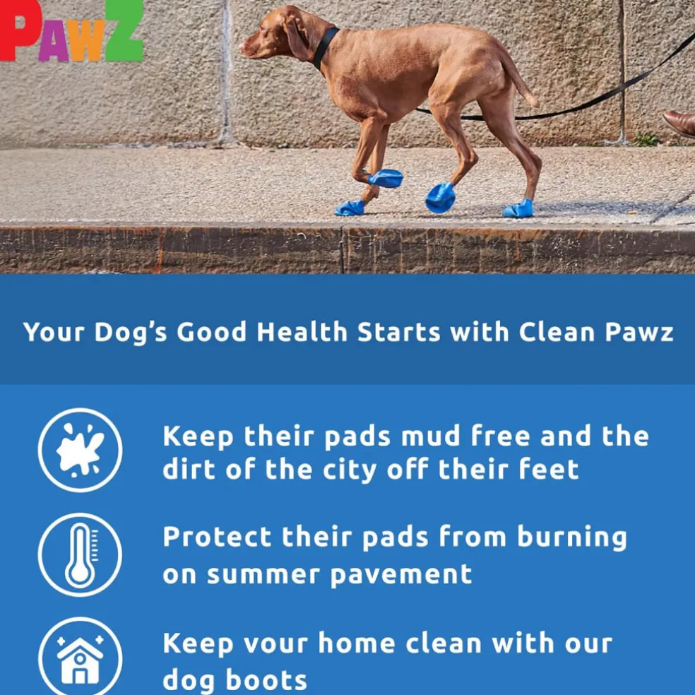 Pawz Boots For Dogs, Medium