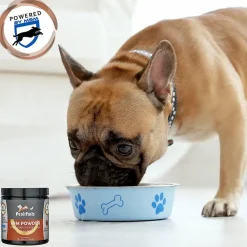 PeakTails Joint Support For Dogs MSM Powder Chicken Flavor, 1-lb