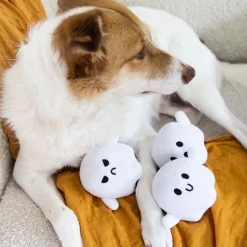 Pearhead Halloween Ghosts Dog Toys, Set of 3