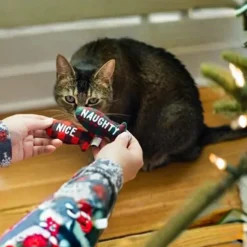 Pearhead Naughty Or Nice Holiday Themed Cat Toy Set with Catnip