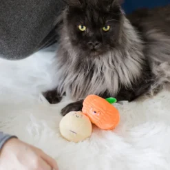 Pearhead Oh My Gourd Toys For Cats (2 pack)