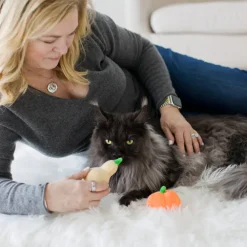 Pearhead Oh My Gourd Toys For Cats (2 pack)