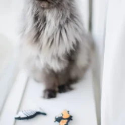 Pearhead Pawloween Toy Set For Cats