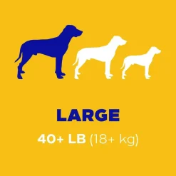 Pedigree Dentastix Fresh Mint Flavored Large Dental Dog Treats, 28 Count