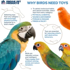 Pervue Pet Playfuls Fancy Dance Bird Toy