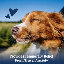 PetArmor Antihistamine Tablets for Dogs, 25 mg (100 tablets)