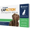PetArmor CapAction Oral Flea Treatment Tabs For Dogs >25LB (6 Count)