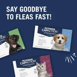 PetArmor CapAction Oral Flea Treatment Tabs for Cats 2-25LB (6 Count)