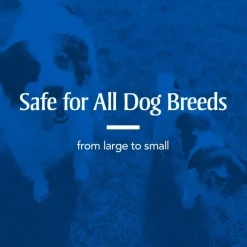 PetArmor Sure Shot 2X Liquid Dewormer for Dogs (2oz)