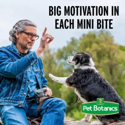 Pet Botanics Training Rewards Soft & Chewy Chicken Flavor Large Bites (20 oz)