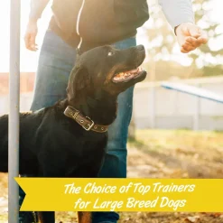 Pet Botanics Training Rewards Soft & Chewy Bacon Flavor Large Bites (1.25 lb)