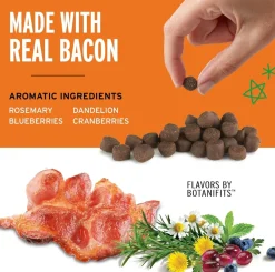 Pet Botanics Training Rewards Soft & Chewy Bacon Flavor Dog Treats (20 oz)