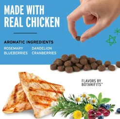 Pet Botanics Training Rewards Mini Soft & Chewy Chicken Flavor Dog Treats