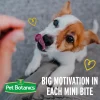 Pet Botanics Training Rewards Soft & Chewy Peanut Butter Puppy Bites (4 oz)
