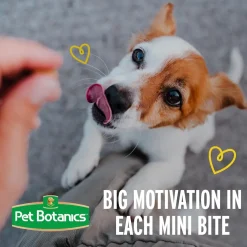 Pet Botanics Training Rewards Soft & Chewy Peanut Butter Puppy Bites (4 oz)