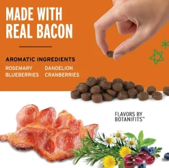 Pet Botanics Training Rewards Mini Soft & Chewy Bacon Flavor Dog Treats