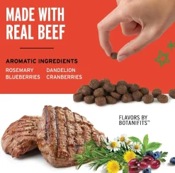 Pet Botanics Training Rewards Mini Soft & Chewy Beef Flavor Dog Treats