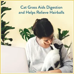 Pet Greens Cat Craves Semi-Moist Salmon Soft Treats For Cats (3 oz)